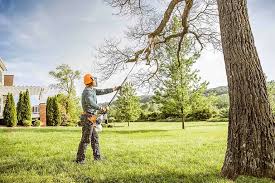 Best Tree Disease Treatment  in Slater Marietta, SC